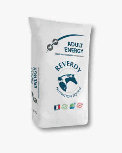 ADULT ENERGY – pasza dla koni w treningu