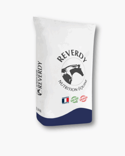 RACING BALANCER – balancer owsa dla dorosłych koni  w treningu