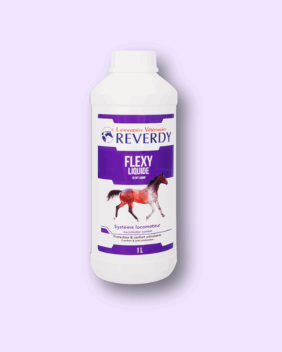 Flexy Liquid – suplement na stawy i chrząstkę dla koni