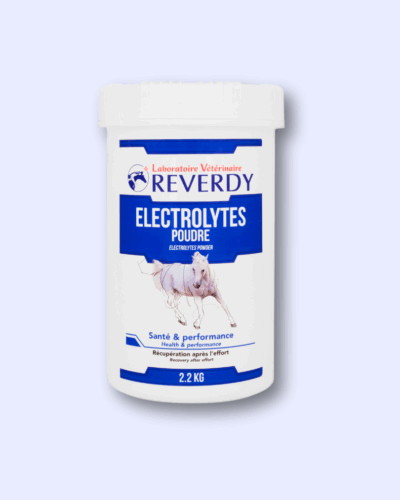Electrolytes Powder – elektrolity w proszku dla koni