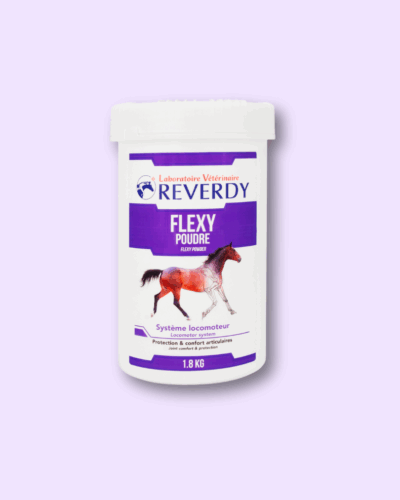 Flexy Powder – kompleksowy suplement na stawy