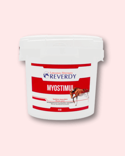 Myostimul – rozbudowa mięśni