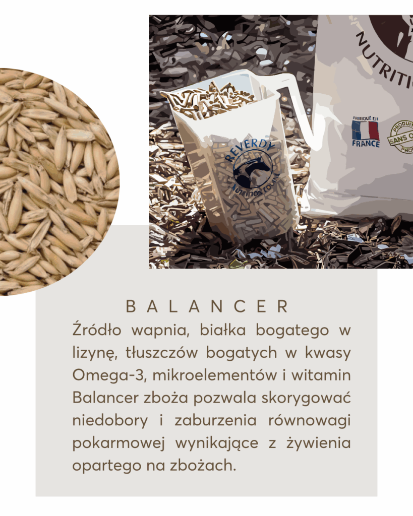 Pasze i suplementy dla koni Reverdy Polska | Equivella