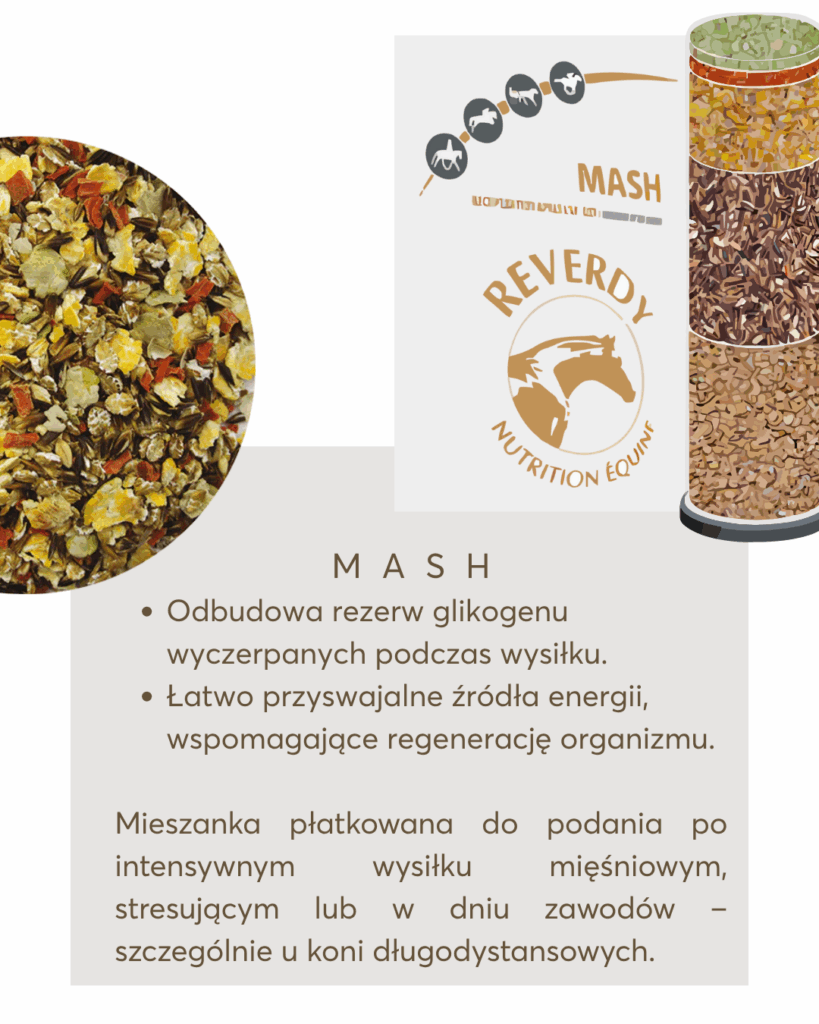 pasze i suplementy dla koni Reverdy