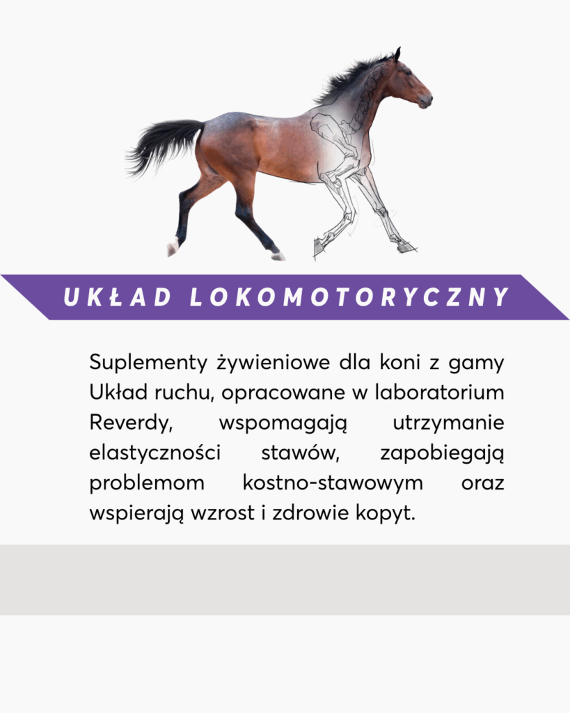 suplementy na układ lokomotoryczny