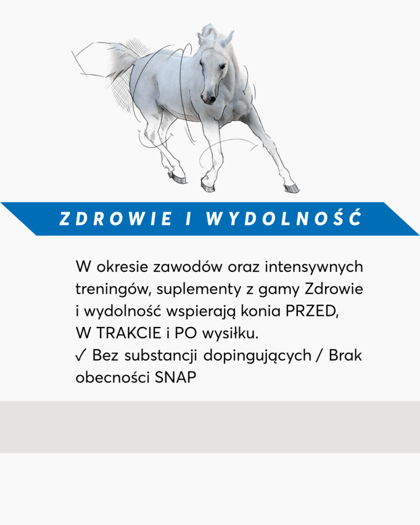 ZDROWIE I WYDAJNOŚĆ