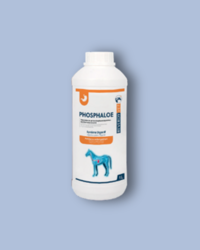 PHOSPHALOE – Komfort żołądka.